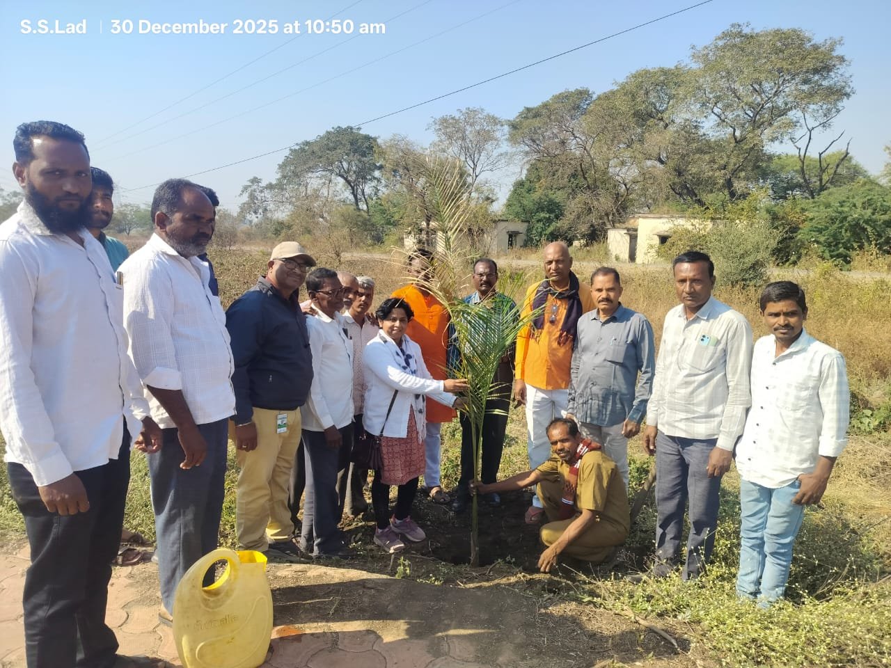 वृक्षारोपण